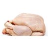 Halal Frozen Whole Chicken High-Grade Processed Meat Whole Sale Halal Chicken - Macmillan-Piper Inc. - Chicken - B2B Global