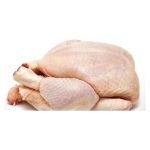 Halal Frozen Whole Chicken High-Grade Processed Meat Whole Sale Halal Chicken - Macmillan-Piper Inc. - Chicken - B2B Global