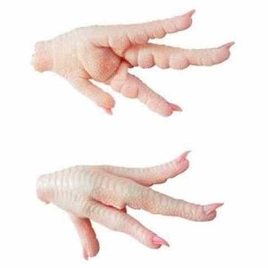 Chicken Feet Price China Market Halal Frozen Chicken Feet Export of Chicken Feet to China General for sale