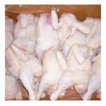 Premium Supplier Halal Frozen Whole Chicken Halal Chicken Processed Meat From Brazil