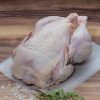 Top Selling Grade High Quality Fresh Frozen Whole Chicken Poultry Meat Frozen Whole Chicken