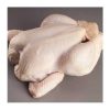 Frozen Chicken Whole Frozen Beef Chicken Fish Meat Whole Cold Frozen Meat Wholesale