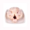 whole chicken ckj Hot sale Frozen Whole Chicken Premium Supplier Halal Frozen Whole Chicken Halal Processed Meat from Brazil