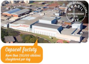 frozen chicken exporter Brazil, frozen pork supplier, Brazilian beef export company