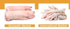 Buy Frozen Chicken Feet Grade A, Frozen Chicken Feet Grade A, Frozen Chicken Feet Grade A for sale, How to buy Frozen Chicken Feet Grade A online, Order Frozen Chicken Feet Grade A, order Frozen Chicken Feet Grade A online, Purchase Frozen Chicken Feet Grade A, Purchase Frozen Chicken Feet Grade A online, Where to buy Frozen Chicken Feet Grade A online