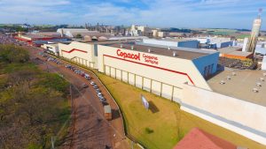 frozen chicken exporter Brazil, frozen pork supplier, Brazilian beef export company