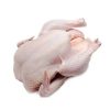 Wholesale Price Fresh Frozen Chicken Food For Sale - West Central Turkeys LLC - Chicken - B2B Global