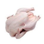 Wholesale Price Fresh Frozen Chicken Food For Sale - West Central Turkeys LLC - Chicken - B2B Global