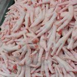 Best Grade Chicken Halal Frozen Chicken Paws for Good Price Export Frozen Chicken Feet for Ready Market