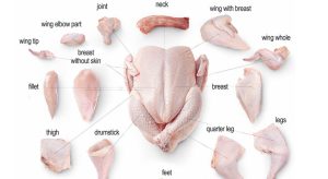 Chicken Parts, Сhicken fillet, Сhicken thigh fillet