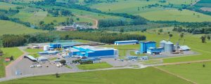 high-quality frozen chicken and chicken parts from Brazil to Russia, China