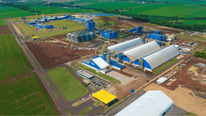 Brazil Hala chicken, halal beef, pork chicken wings from Brazil shipping to China and Russia