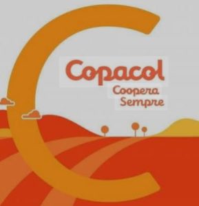 Buy Frozen Chicken Feet Grade A, Frozen Chicken Feet Grade A, Frozen Chicken Feet Grade A for sale, How to buy Frozen Chicken Feet Grade A online, Order Frozen Chicken Feet Grade A, order Frozen Chicken Feet Grade A online, Purchase Frozen Chicken Feet Grade A, Purchase Frozen Chicken Feet Grade A online, Where to buy Frozen Chicken Feet Grade A online