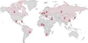 Exporter Of Brazilian Chicken, Brazilian Pork to China, Russia, World Wide