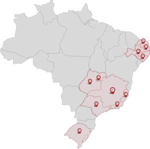Exporting Brazilian Chicken To China, Russia