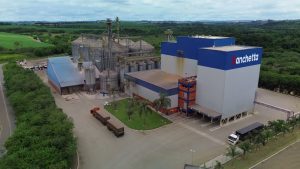 high-quality frozen chicken and chicken parts from Brazil to Russia, China