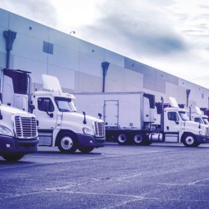 high-quality frozen chicken and chicken parts from Brazil to Russia, China