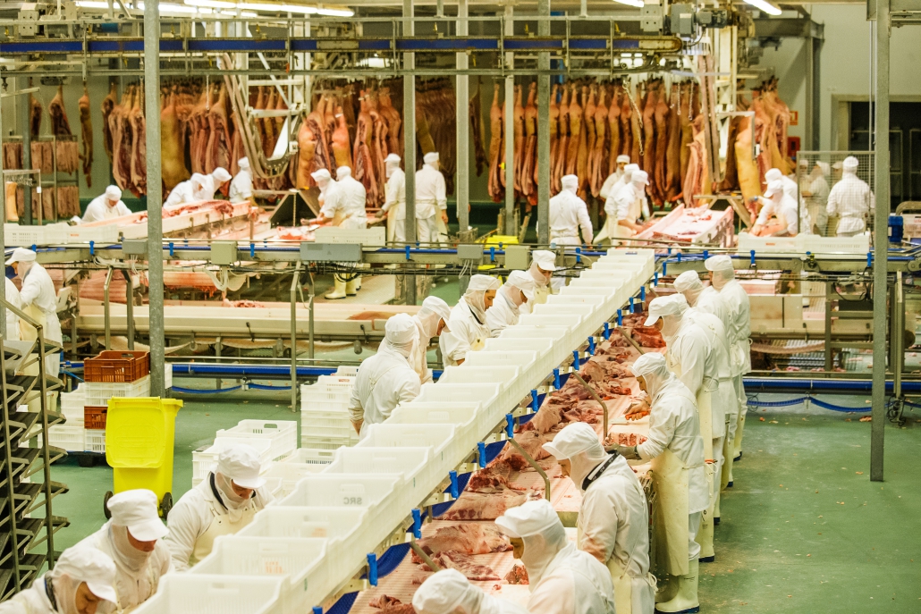 Matadero Frigorifico De Fuentes El Navazo SL