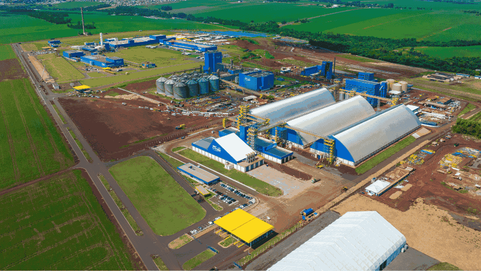 C.VALE - COOPERATIVA AGROINDUSTRIAL