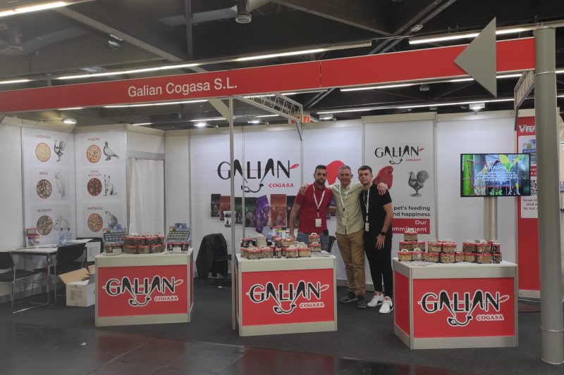 GALIAN COGASA SL