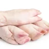Frozen Pork Feet - Frozen Chicken Feet - B2B Global