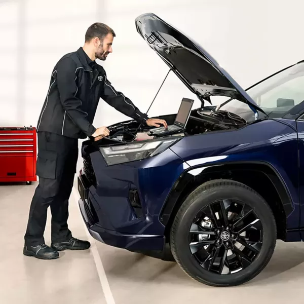 Bernhard Kandl Autohandel GmbH