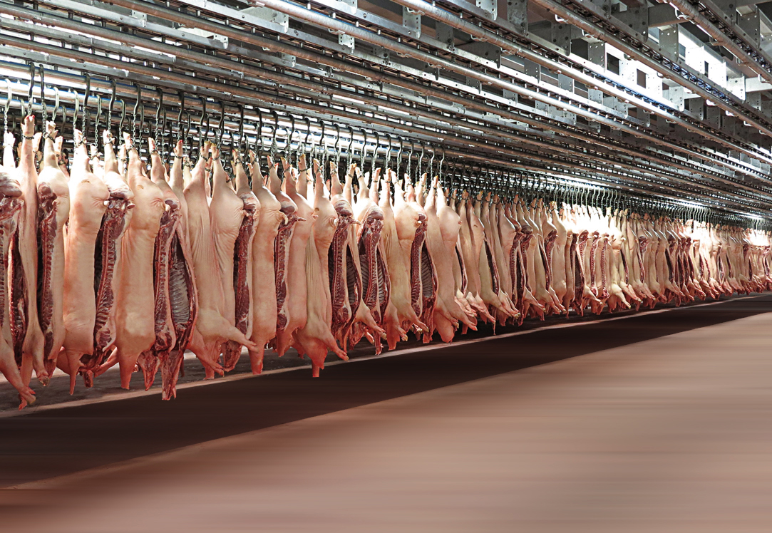 OLOT MEATS SA