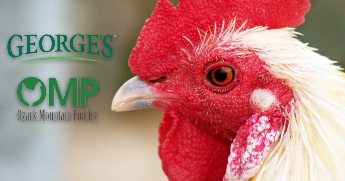 Ozark Mountain Poultry Inc.