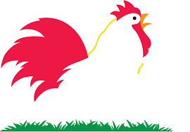 JCG Foods of Georgia LLC