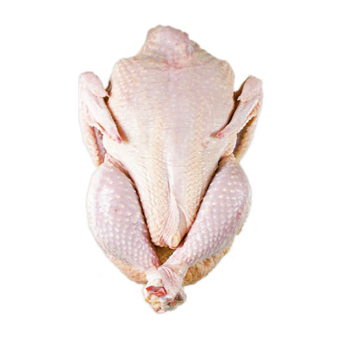 Quality Halal Whole Frozen Chicken From Brazil - fwlogistics Quality Halal Whole Frozen Chicken From Brazil - fwlogistics - Chicken - B2B Global