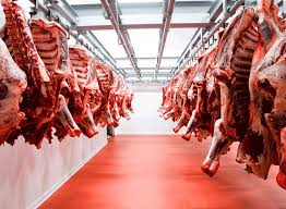 SOCIEDAD ANONIMA CARNES PAMPEANAS SA