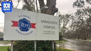 TEYS AUSTRALIA NARACOORTE PTY LTD