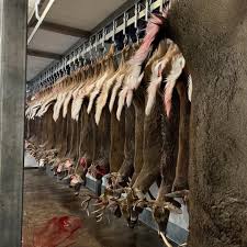 Lawson Foods Inc