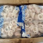 frozen_squid_ring_10kgs_1677073688_2bf55e60_progressive