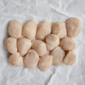 Fresh Scallops (large, Wild-Caught) - Geroi ShironintsyLLC Vostok... - Aquatic - B2B Global