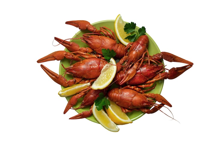 Kapitan Efremov JSC Yuzhmorrybflot