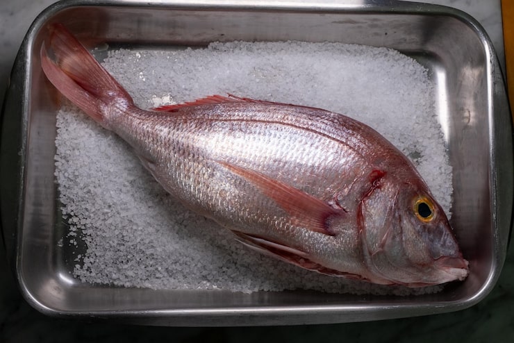 Severo-Vostochnaya company Co Ltd