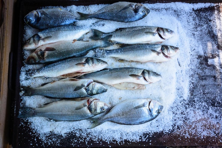 LLC Company Tunaycha