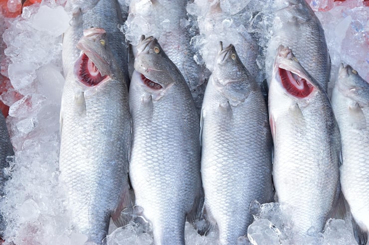 RPC Nakhodkinskiy CoLtd