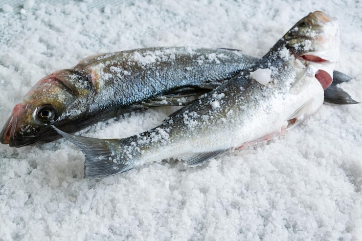 VITYAZ-AVTO CO LTD fish Processing Workshop