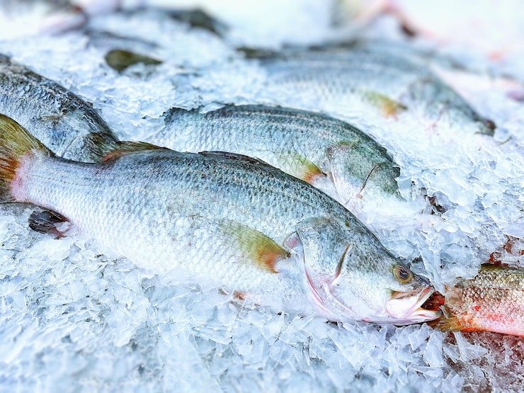 UstKamchatryba Co Ltd