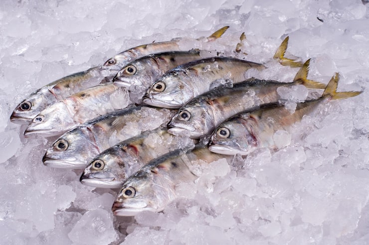 SKIT LLC Fish-processing factory