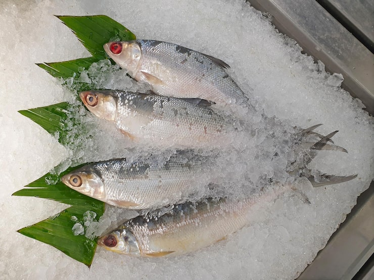 Company Priboy-Korsakov Co Ltd