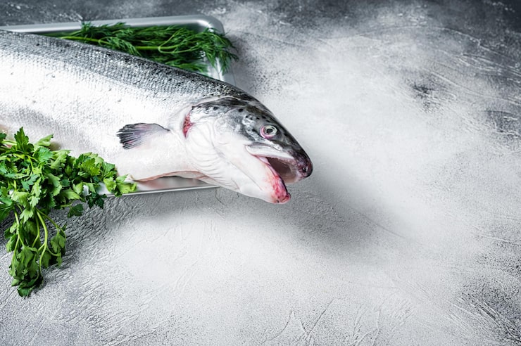 LLC Troicky Fish-processing Complex