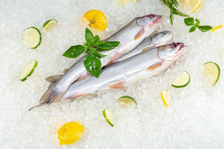 Sadko Co LTD Fish processing plant