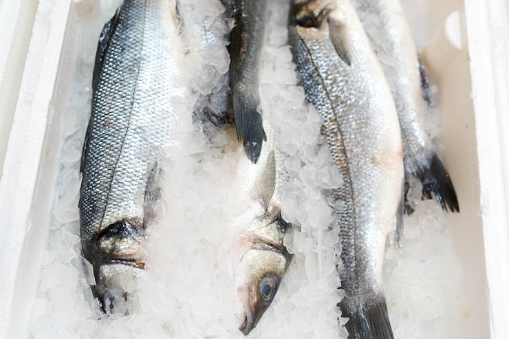 SKIT Co Ltd Fish Processing Workshop