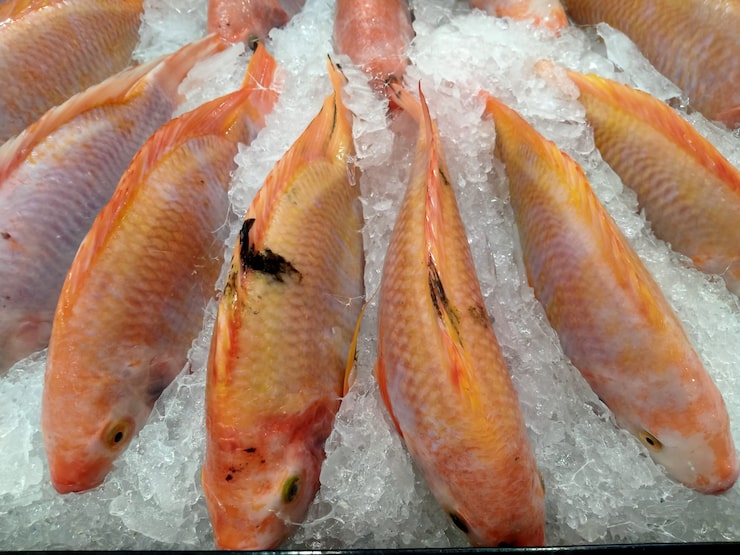 Vilyuy LLC Pacific Crab