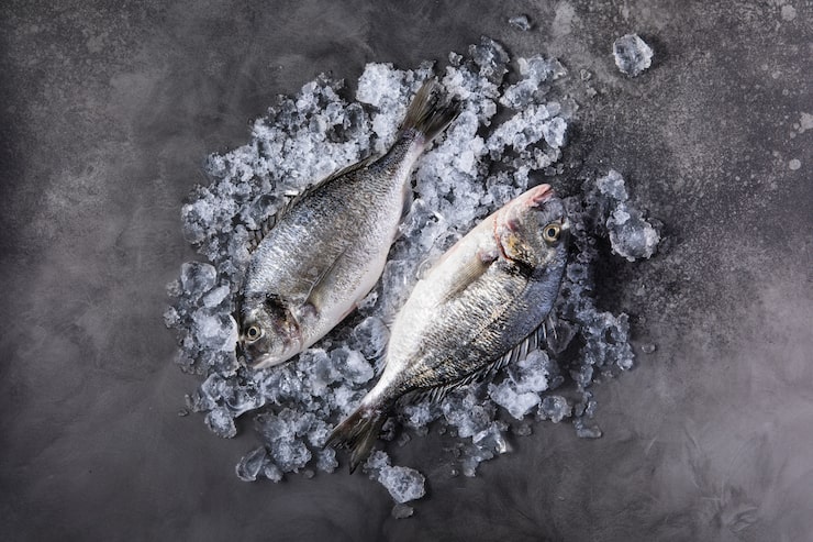 Ugulan Antey Sever LLC