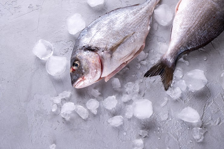 MP-1106 Shturman Co Ltd