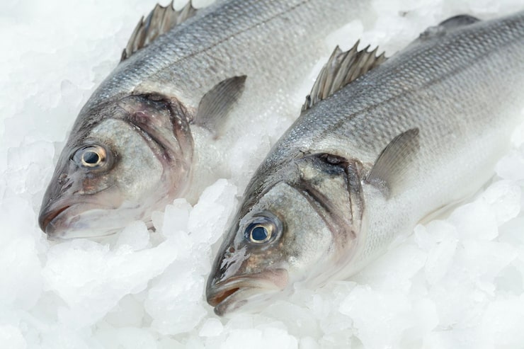 PB-3026 Bosantur Dva CoLtd